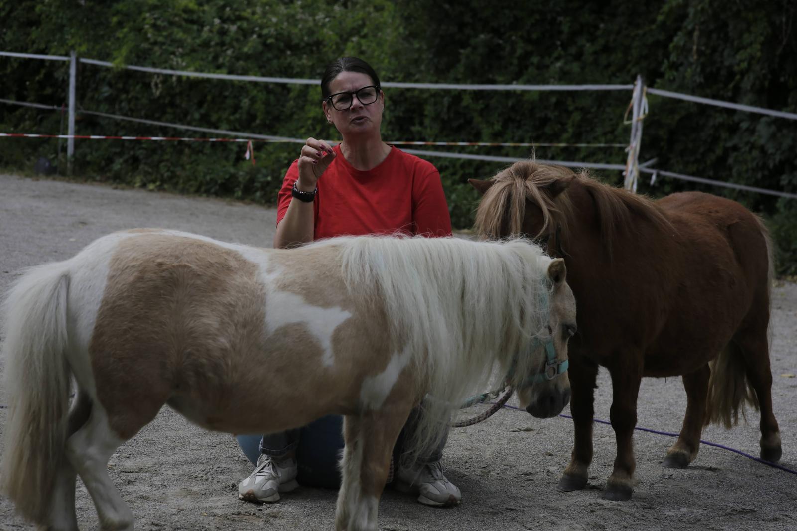 Katja bei einer Coaching-Session mit zwei Ponys.